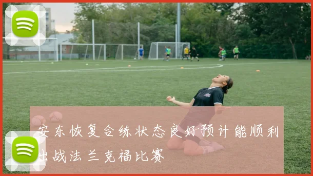 安东恢复合练状态良好预计能顺利出战法兰克福比赛