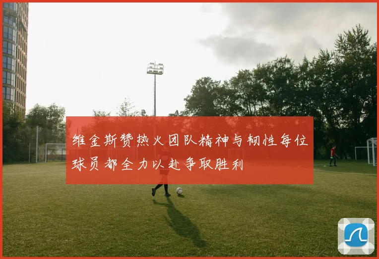 维金斯赞热火团队精神与韧性每位球员都全力以赴争取胜利